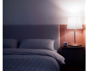 Mi Smart LED Bulb (White and Color)  -  XiaomiTunisie