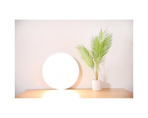 Mi Smart LED Ceiling Light Plafonnier-Vente en ligne avec un meilleur prix |MiTunisie