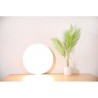 Mi Smart LED Ceiling Light Plafonnier-Vente en ligne avec un meilleur prix |MiTunisie
